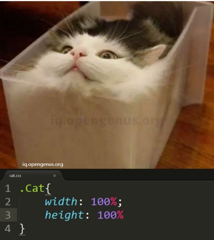 chat dans une boîte - même css